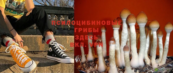 2c-b Белоозёрский