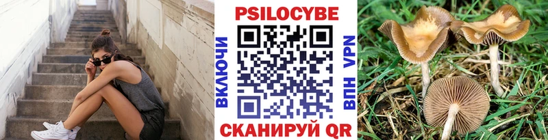 купить закладку  Краснослободск  Галлюциногенные грибы Cubensis 