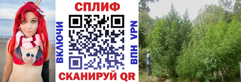 Канабис SATIVA & INDICA Краснослободск